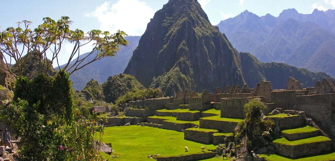 Machu Picchu