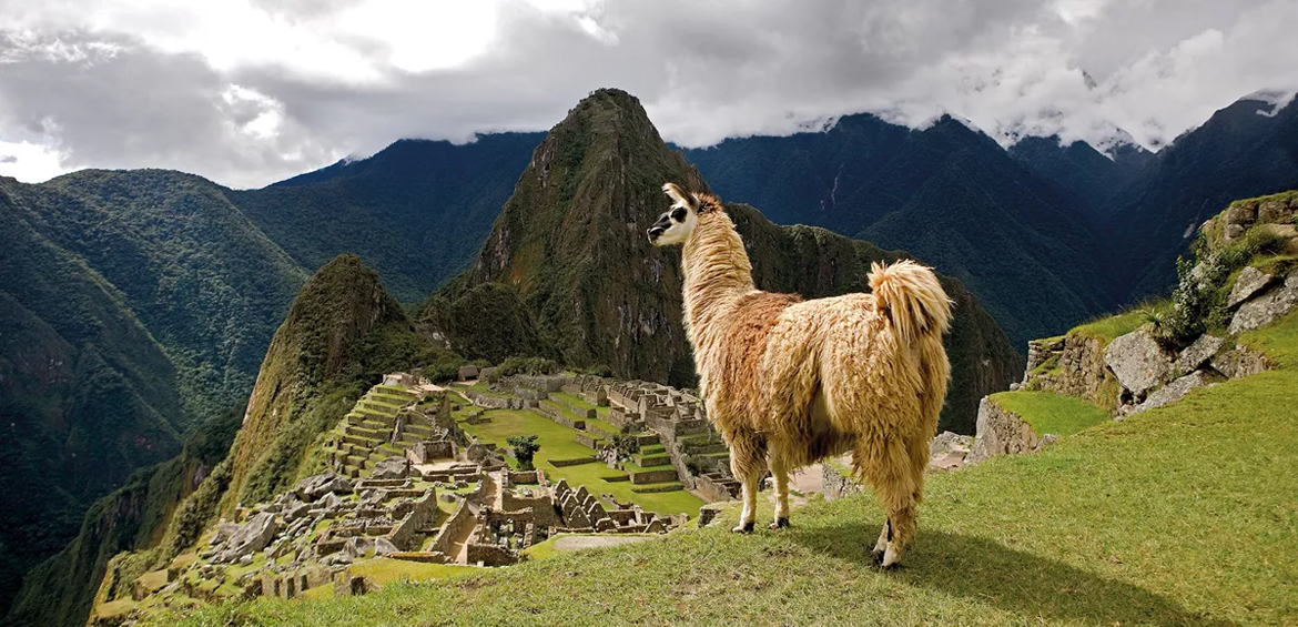 Machu Picchu