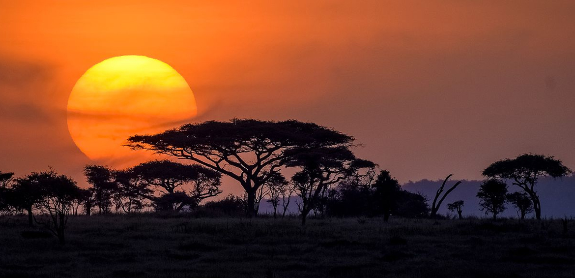 Serengeti