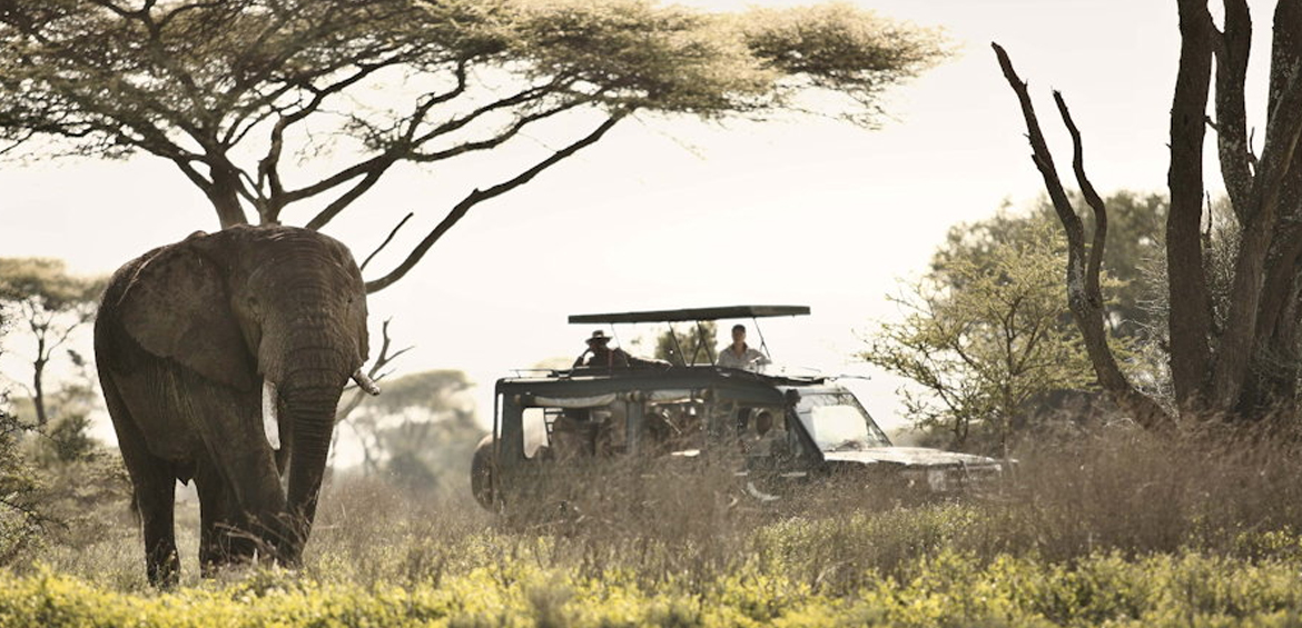 Serengeti
