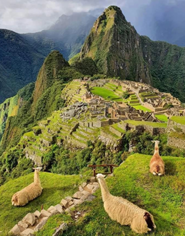 Machu Picchu